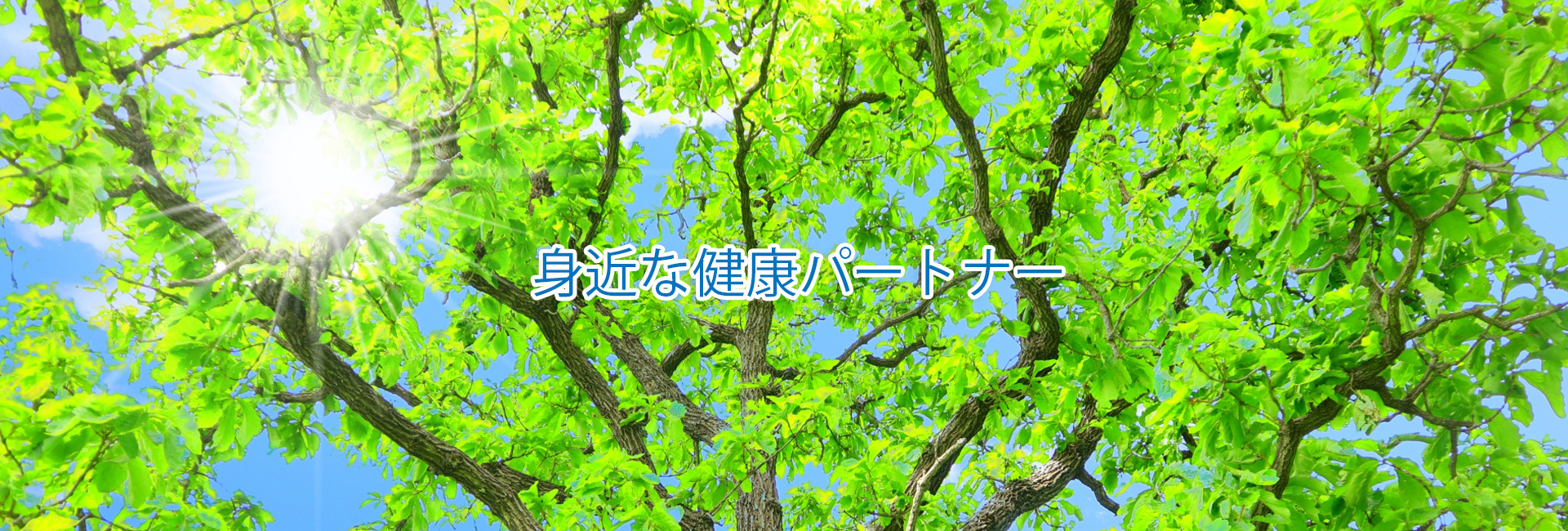 ドラッグ太陽 あおぞら薬局・あおば調剤薬局